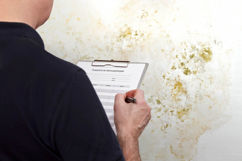 indoor mold growth