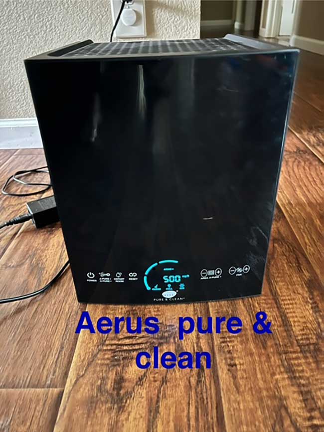aerus aerus